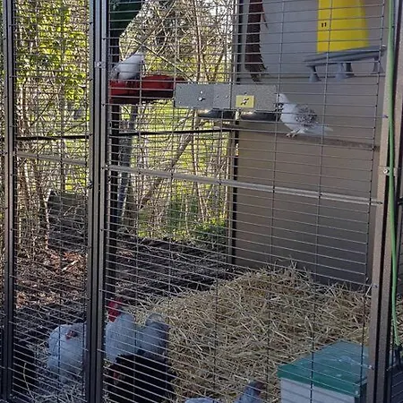 بيت للعطل Maison Chez Mariebel - 20 Pers Avec Piscine Jacuzzi Sauna