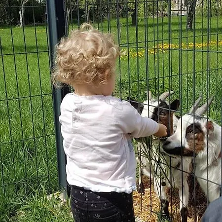 Maison Chez Mariebel - 20 Pers Avec Piscine Jacuzzi Sauna Casa vacanze Ottonville et Ricrange